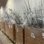 Fishing Gear Wholesale Pallet (120–150 Items) - Image 5